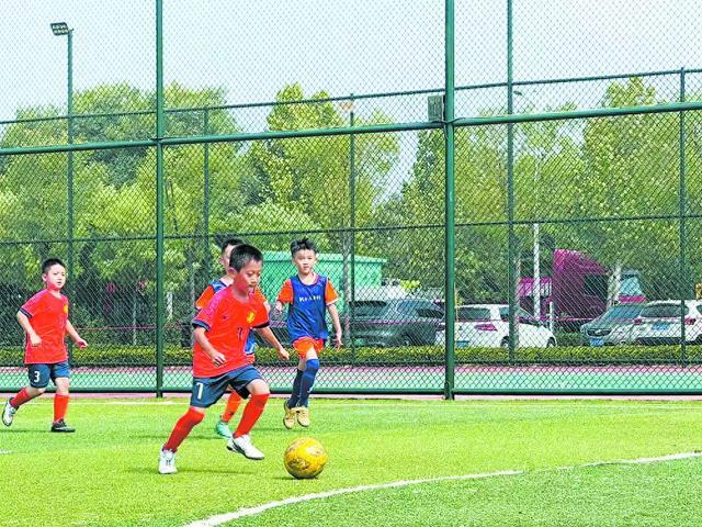 文化活动, 健身