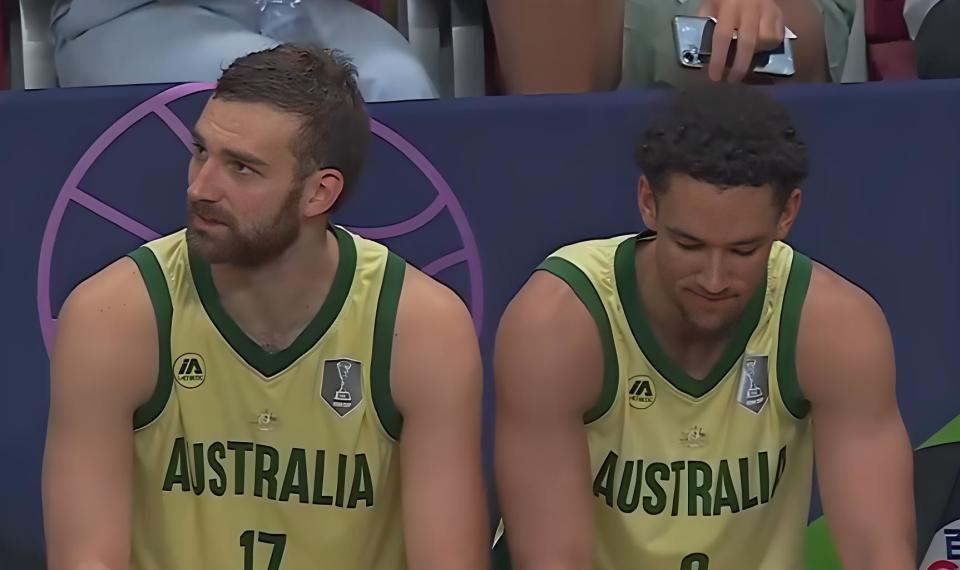 手的诞生 手的诞生