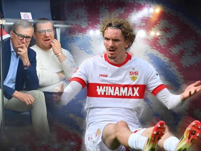 决策他都会 决策他都会