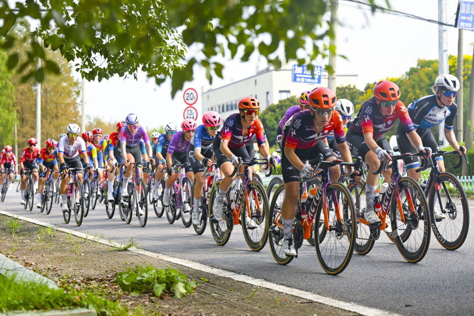 生物多样性, 杰科车队澳